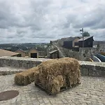 Sunflower Castle View In *