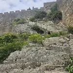 Sunflower Castle View In *