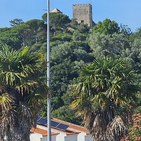 Sunflower Castle View In Дом отдыха Обидуш