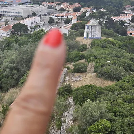 Sunflower Castle View In Feriehus