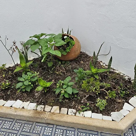 Sunflower Castle View In Feriehus