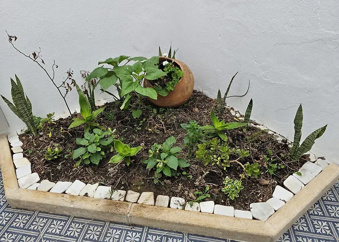 Sunflower Castle View In بيت للعطل